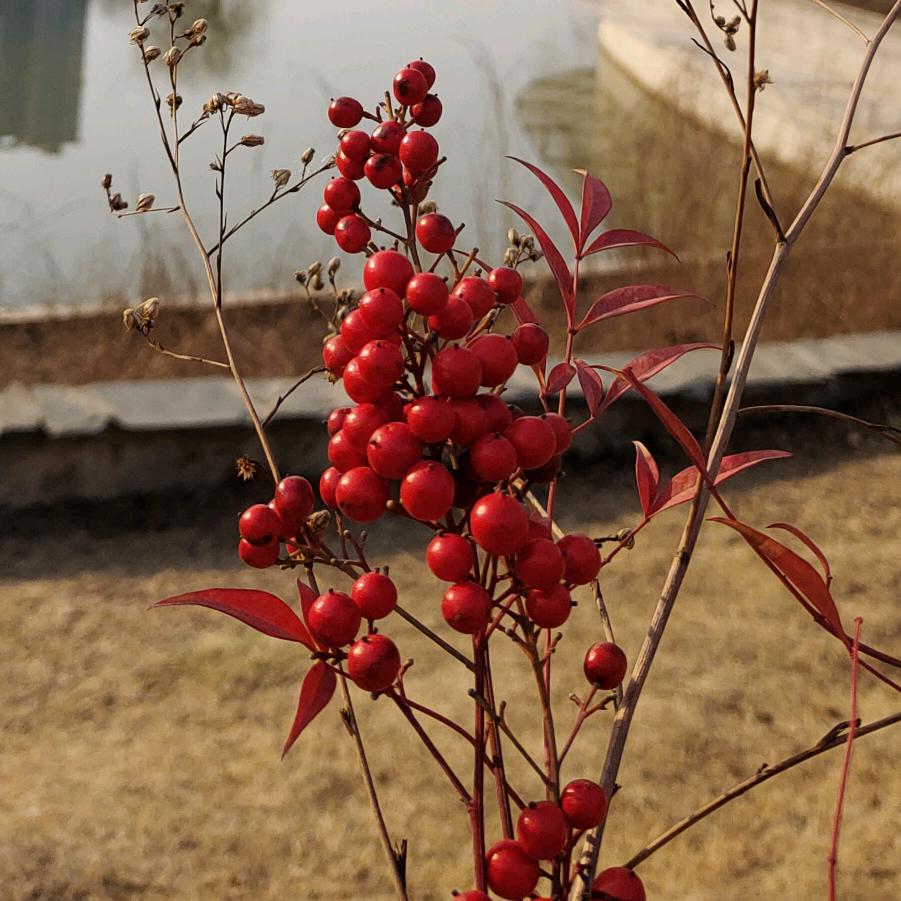 惜缘惜福拒绝和拍