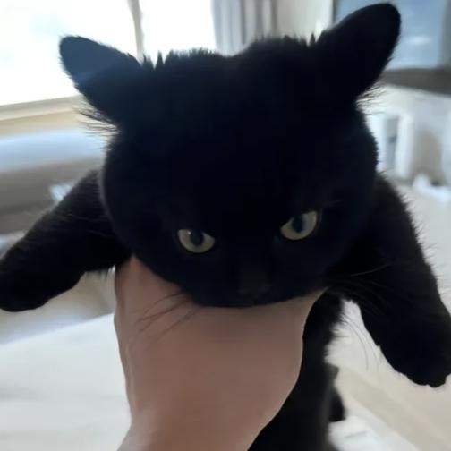 。，。！