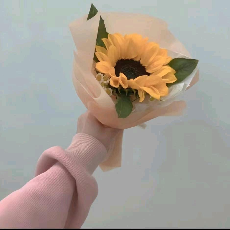 ღ᭄  张 小 白ꦿ᭄