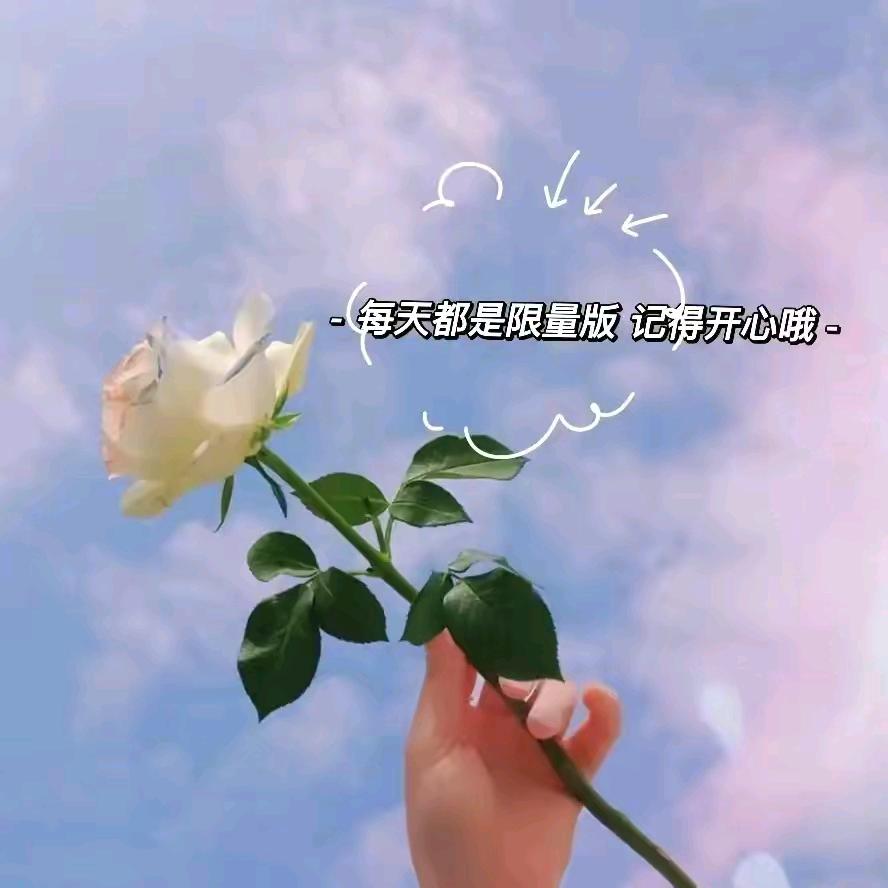 💖川姐💖