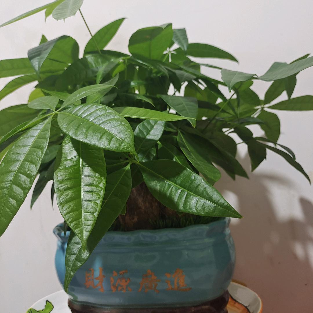 厚德载物