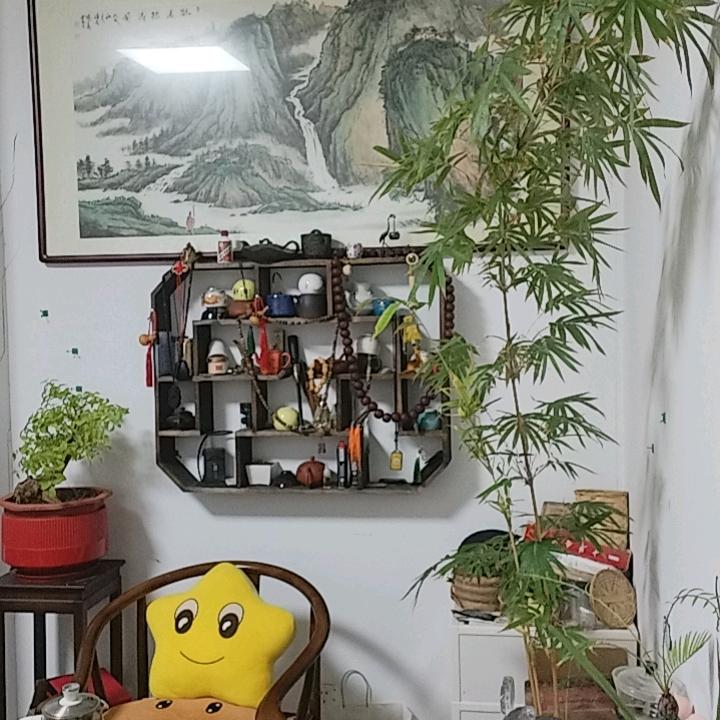 心的方向