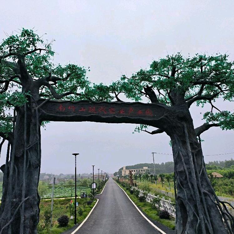 村支书话乡村振兴