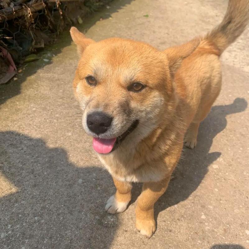小三子