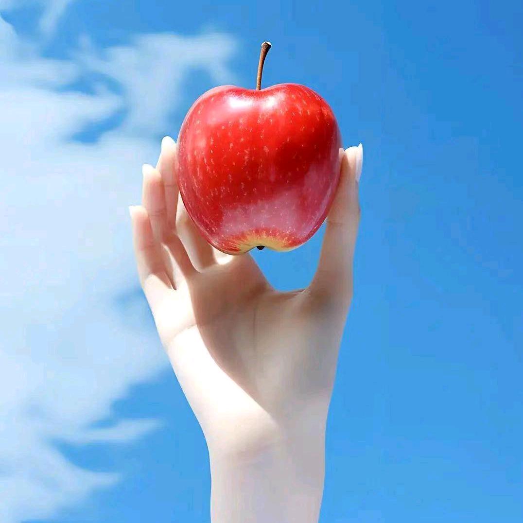 用户7288896841310一龙译芳