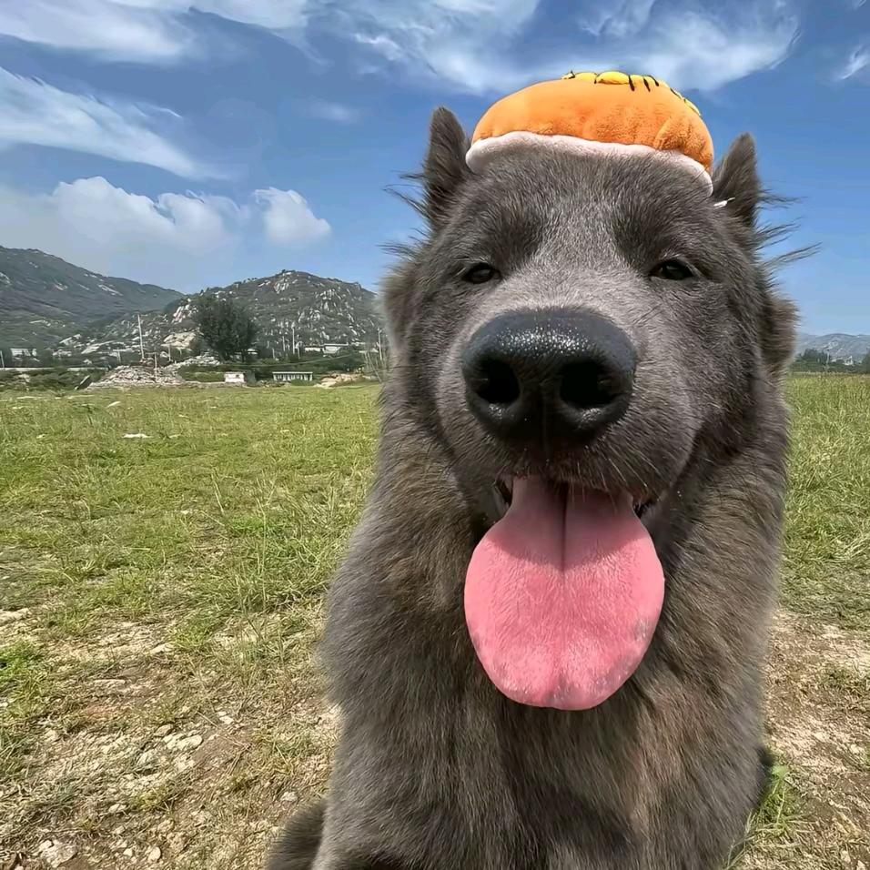 等待