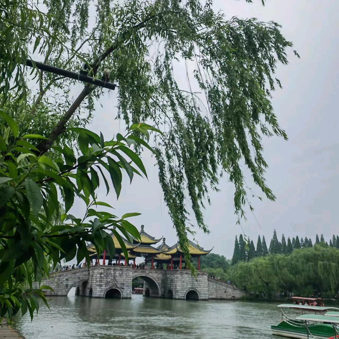 自律的闲妻（下午2：30）