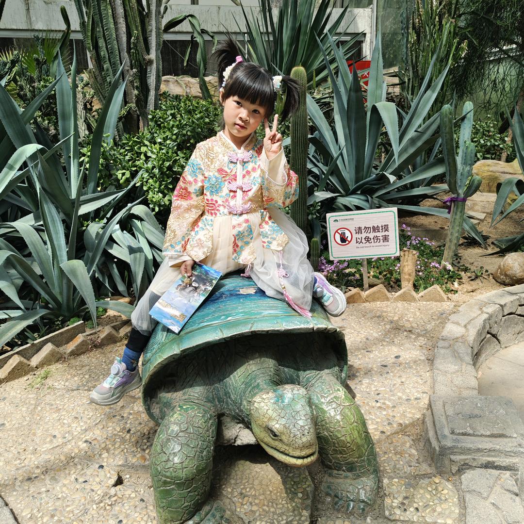 往事如煙