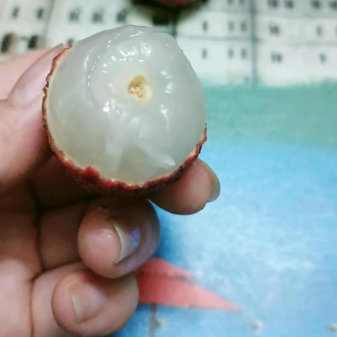 霞霞
