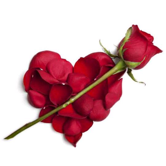 天天开心，笑口常开