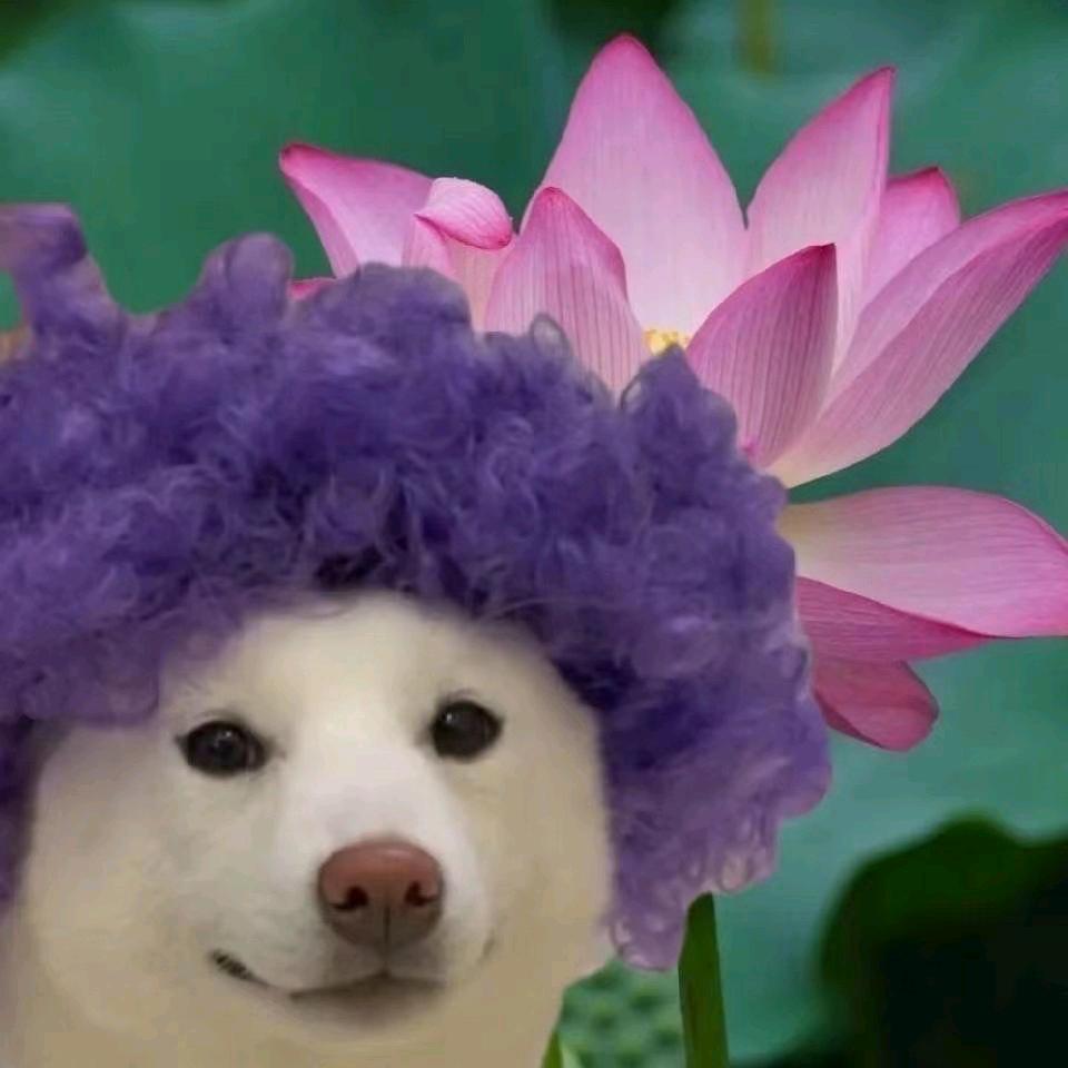 陕西第一深禽