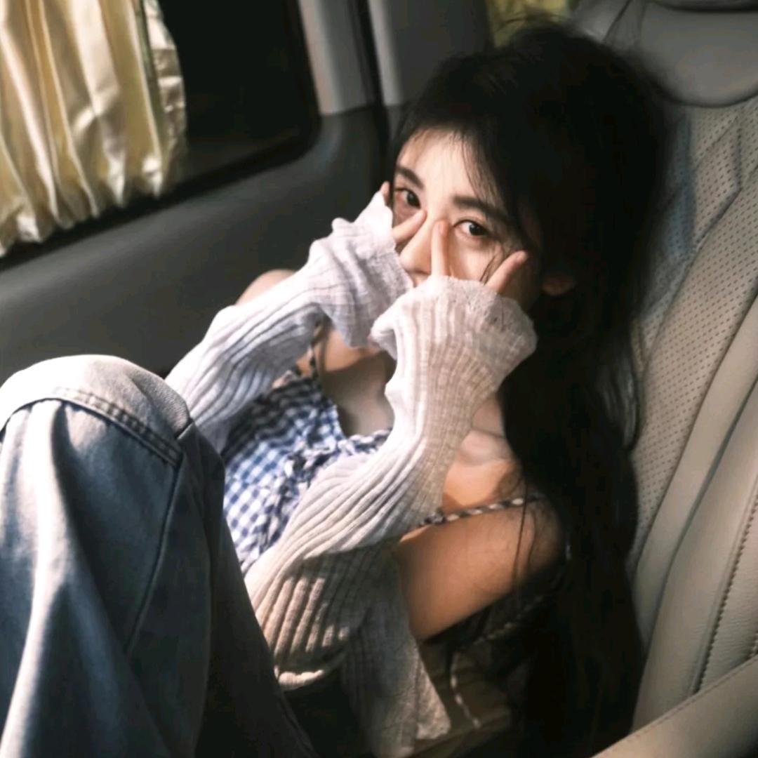 小鲨鲨