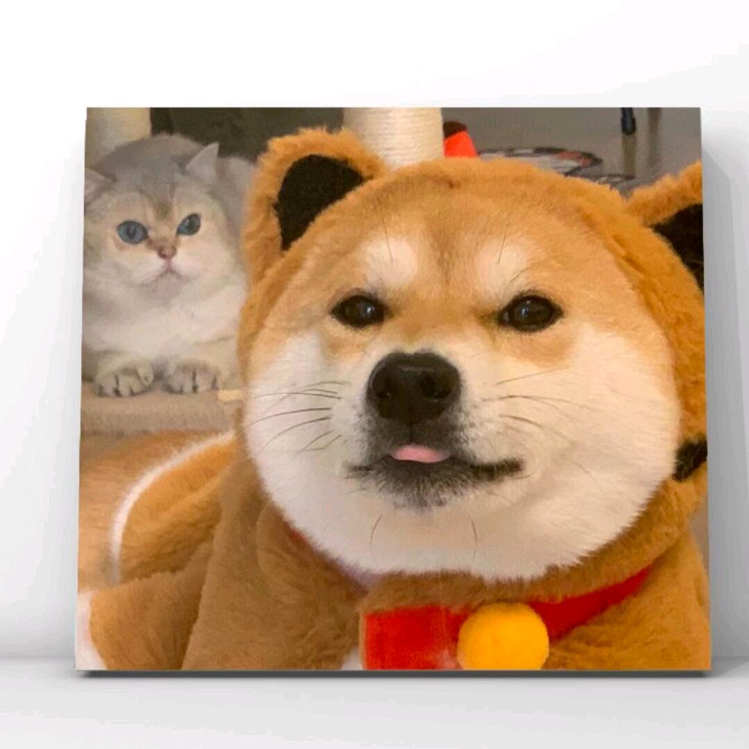 ⭐✘