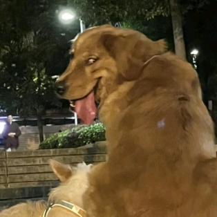 杰西不妙厨房