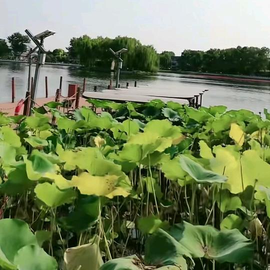 你好我就好
