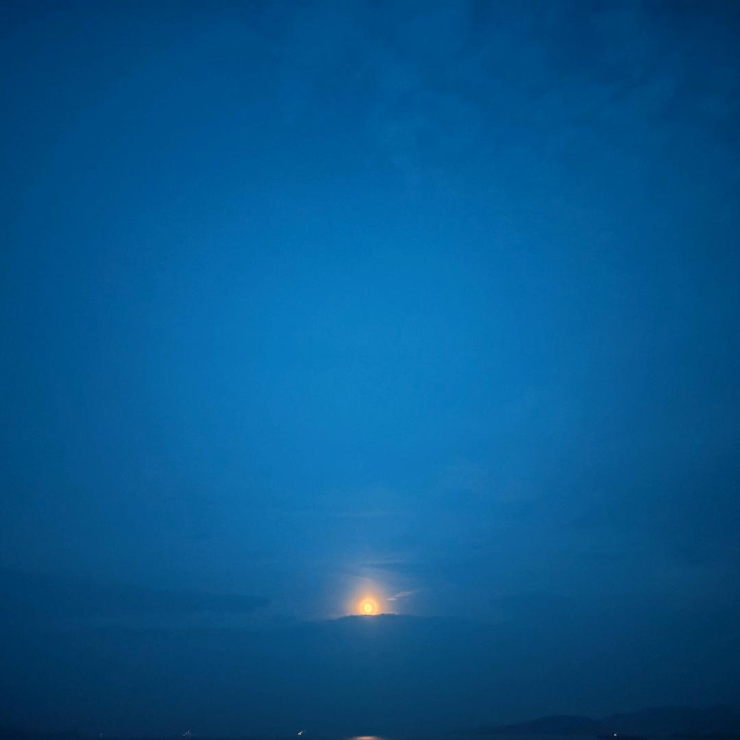 小胖墩 ³¹²