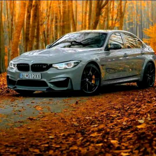 郭磊🐍🇨🇳🇨🇳🇨🇳