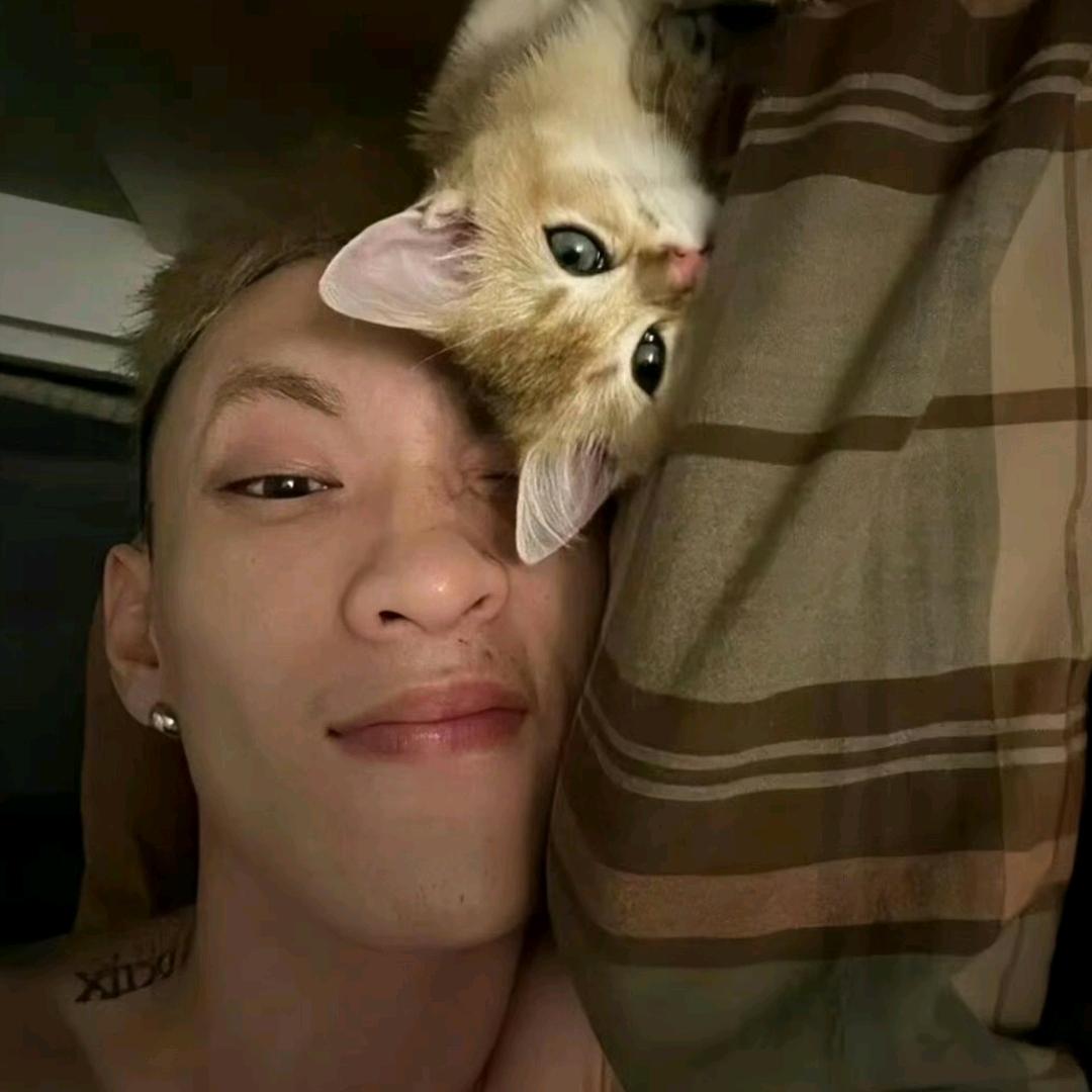 你熟悉的鑫