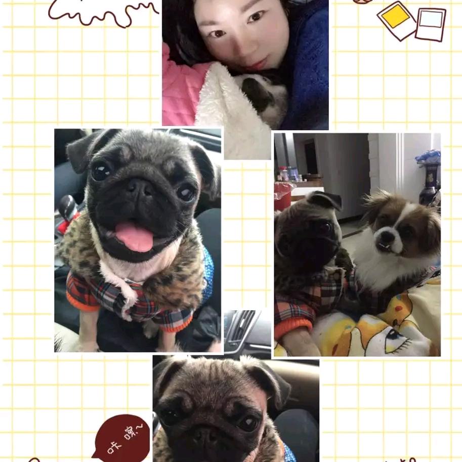 梅姐