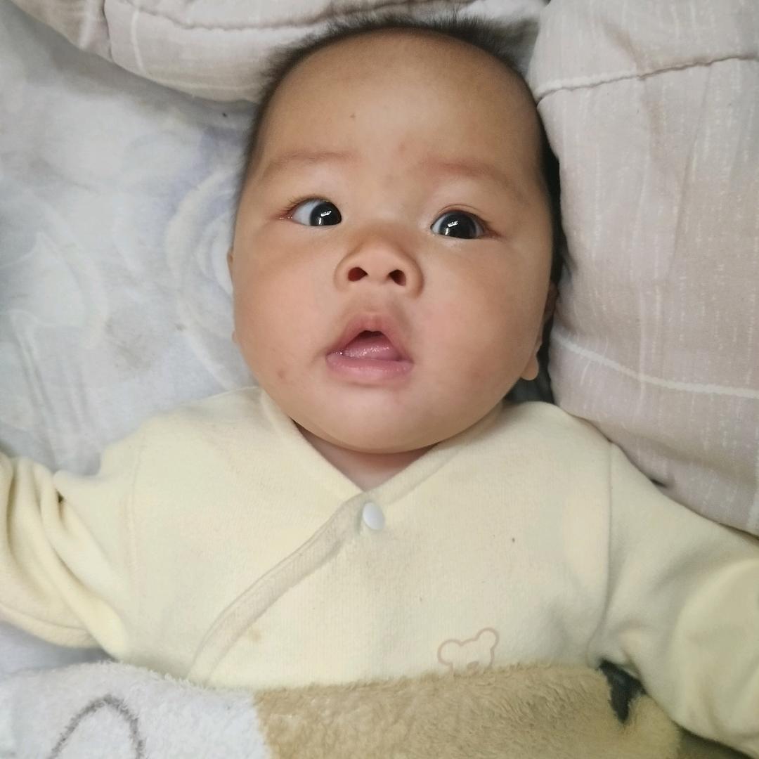 杜秀
