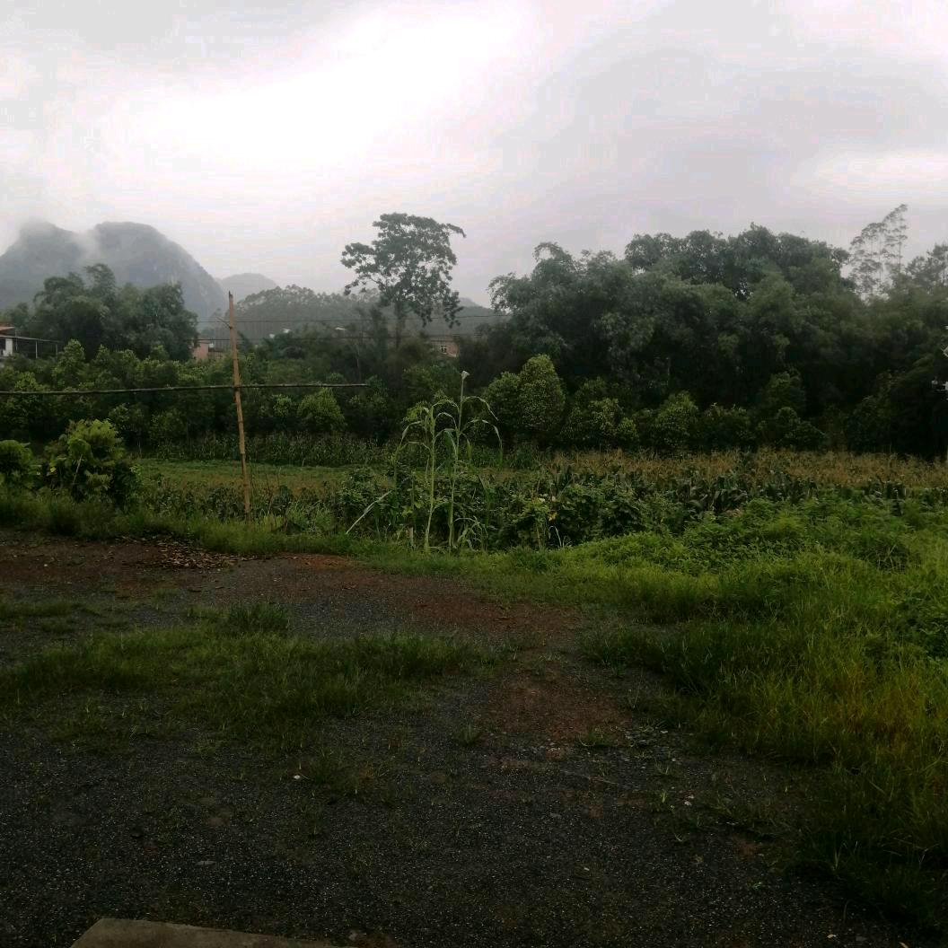 加油