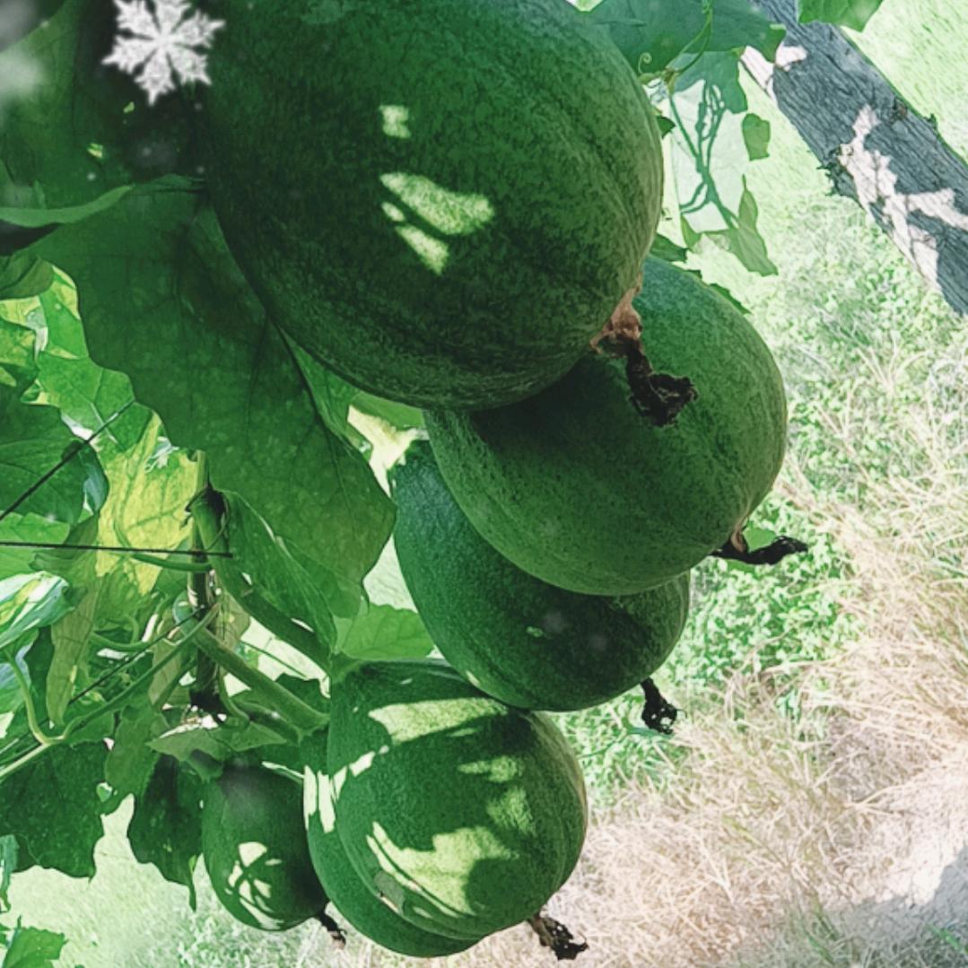 我用真心换你一生