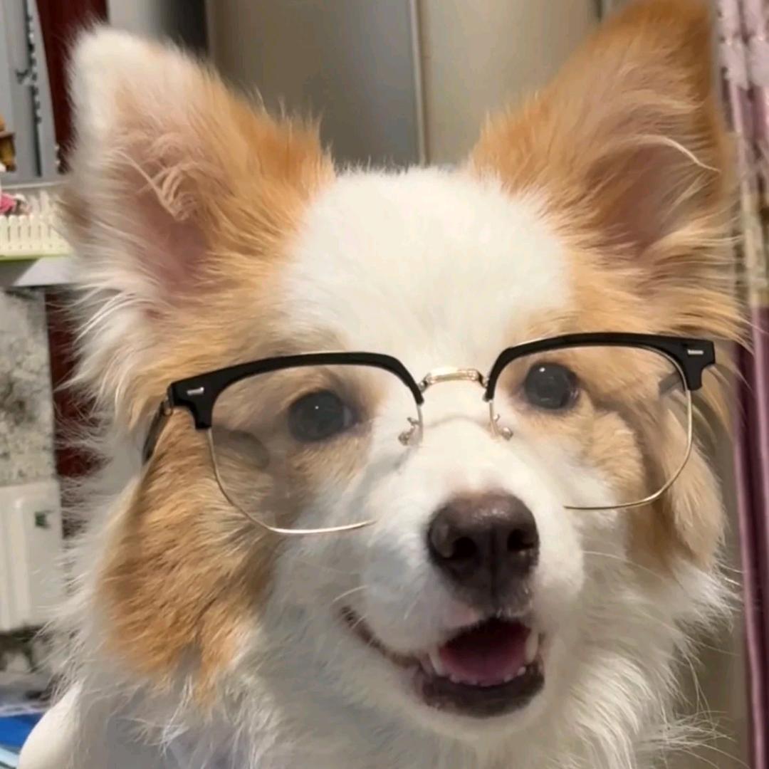 素质差