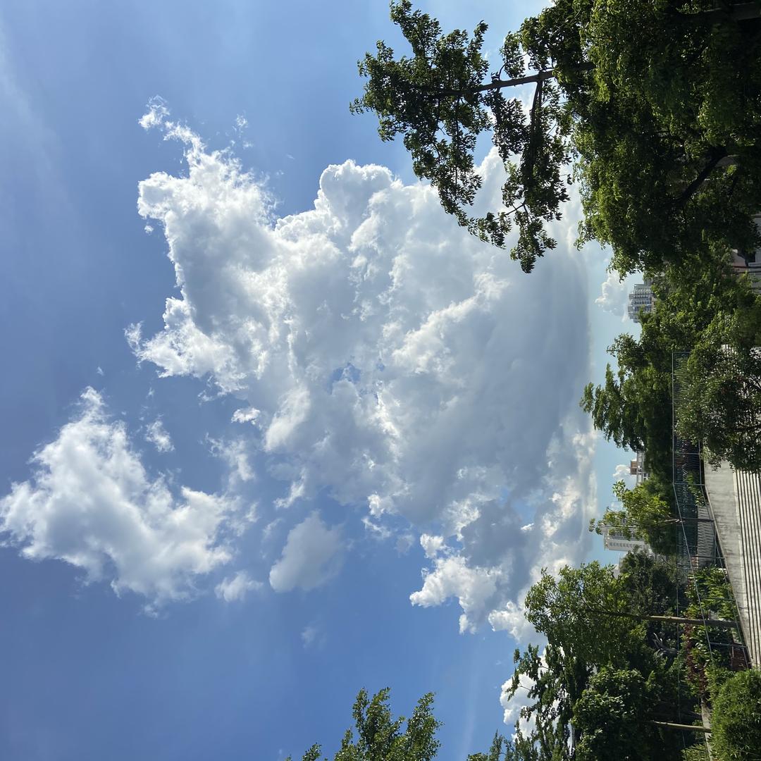 小猪佩奇，