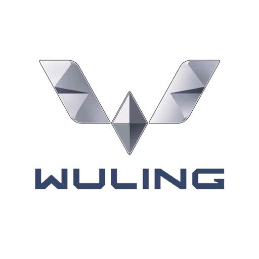 海南源骏汽车销售有限公司