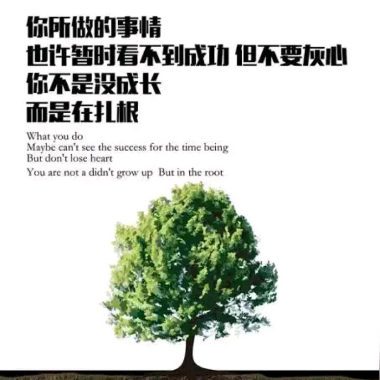 晓峰同学聊房产