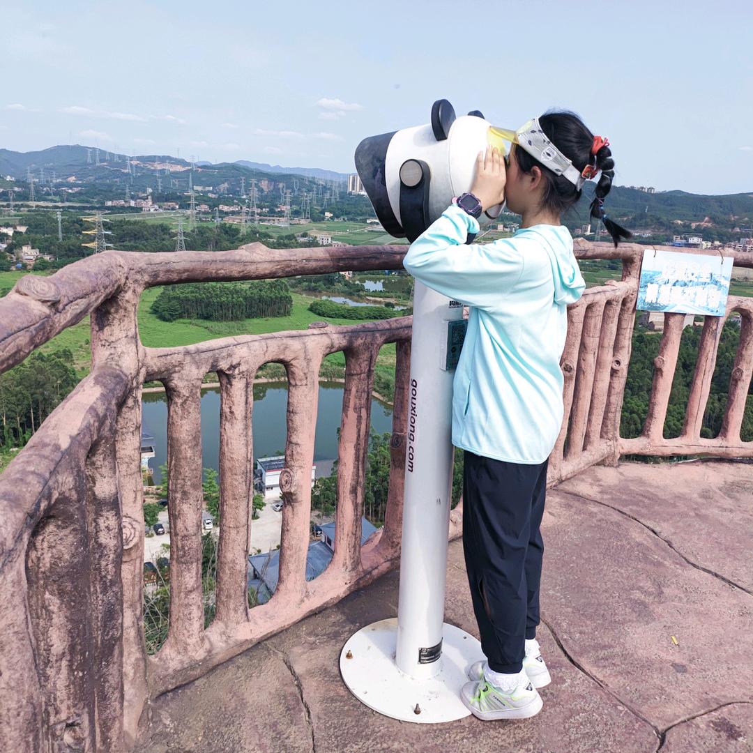 苏晴爱学习