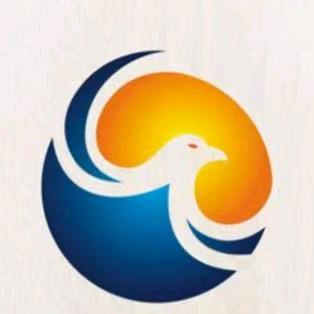 元宇光年传媒科技