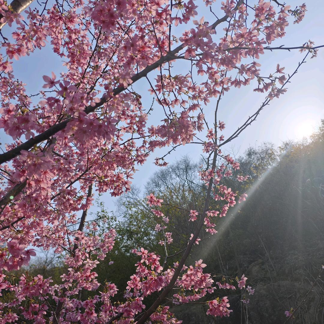 ʕ̯•͡˔•̯᷅ʔ八九不离十🐾: