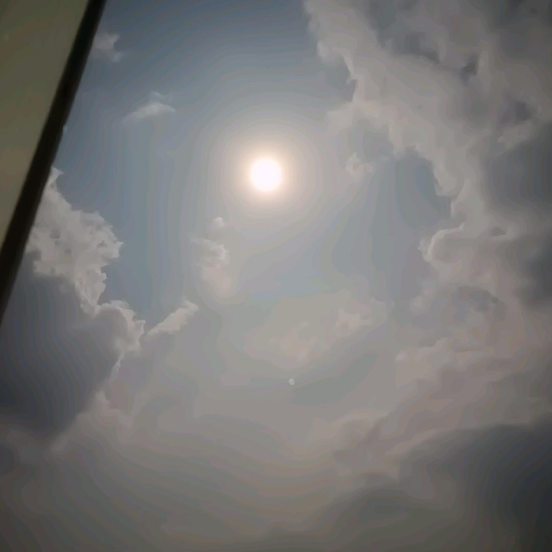 Agonl