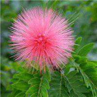 (๑•̀ㅂ•́)و✧往事随风