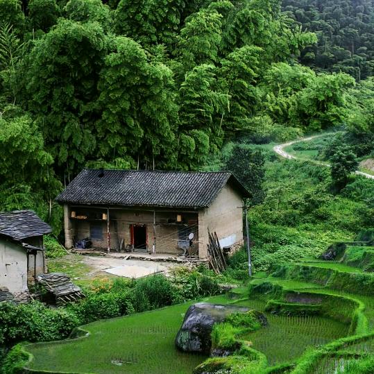 涅磐重生，巜东山再起》