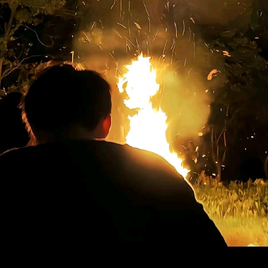 ᝰꫛꫀꪝ•⚘ₐ