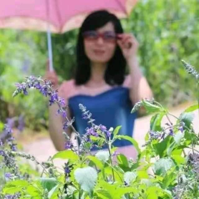 踏雪寻梅