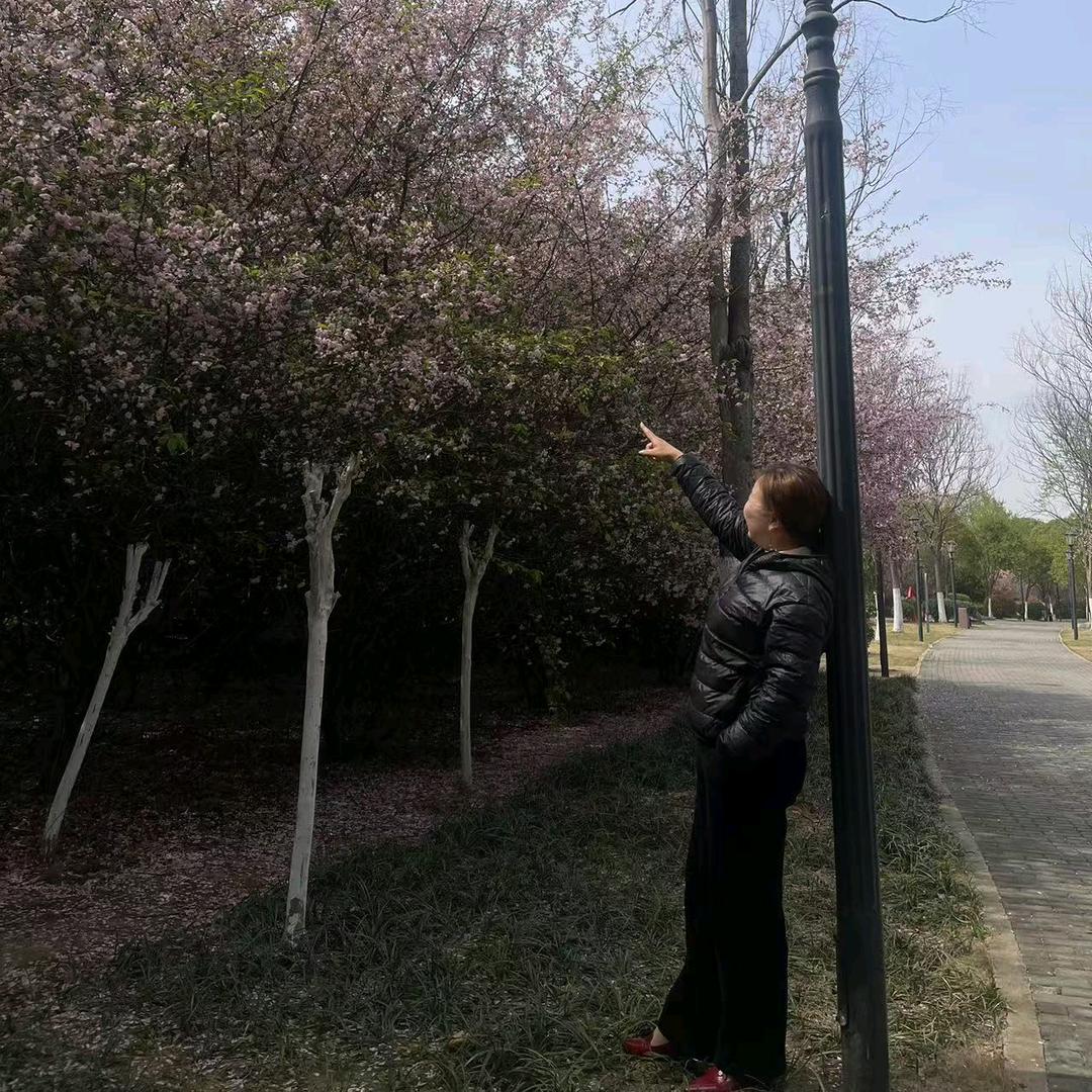 天意