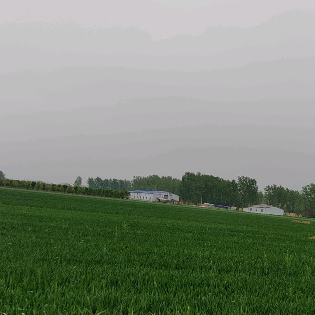 小米朵宝贝