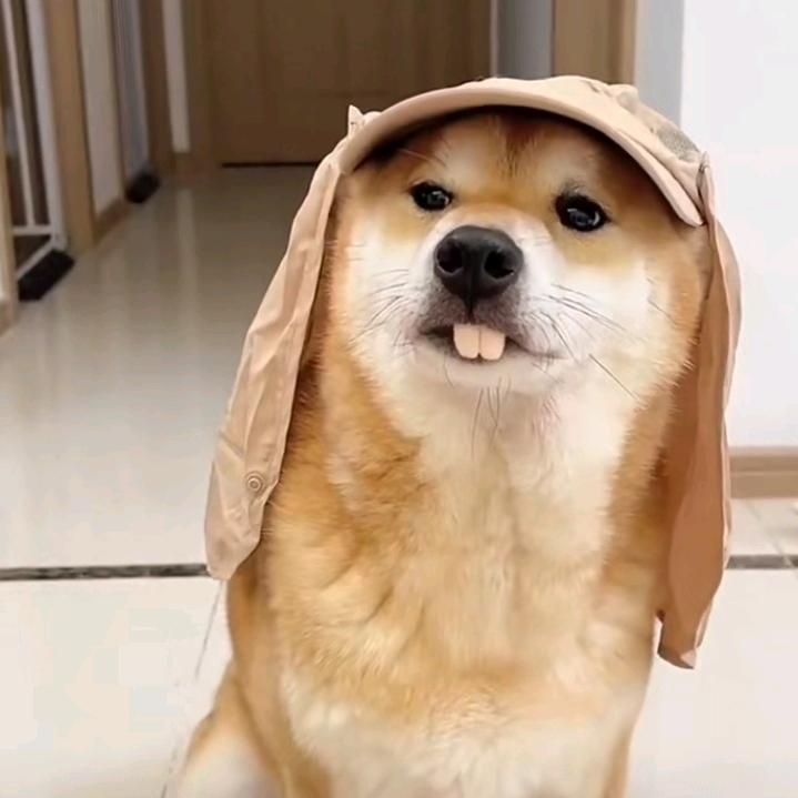路过