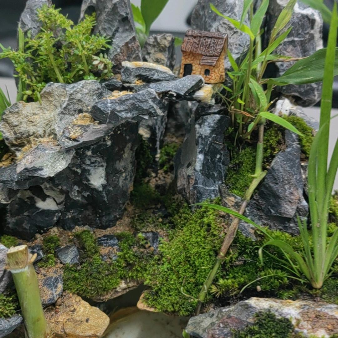 陈
