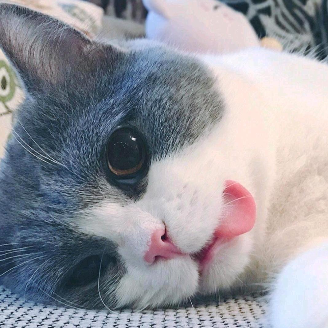 🌈小张很哇塞⭕️✌