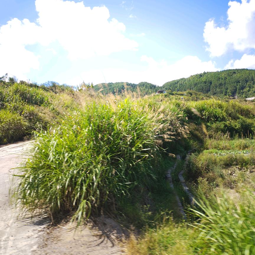 ❤୧⍤⃝🎀陌路ꦿ໊ོღ᭄ꦿ