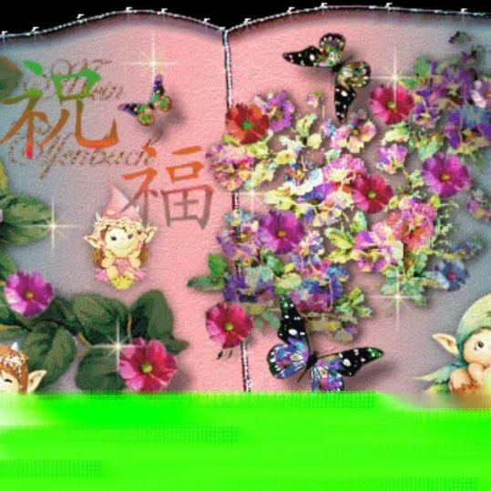风雨行