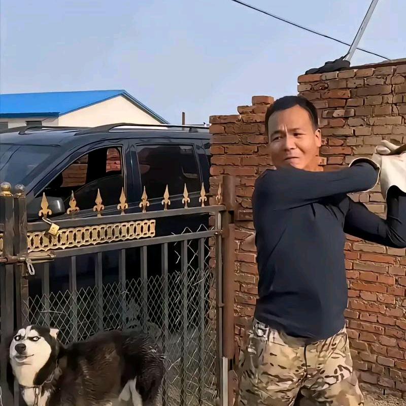潘宏玩狗记（狗哥）