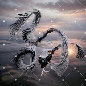 邯郸众合博源园林孙树森