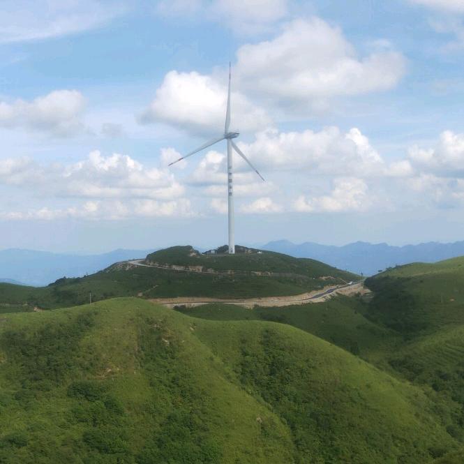 游泳