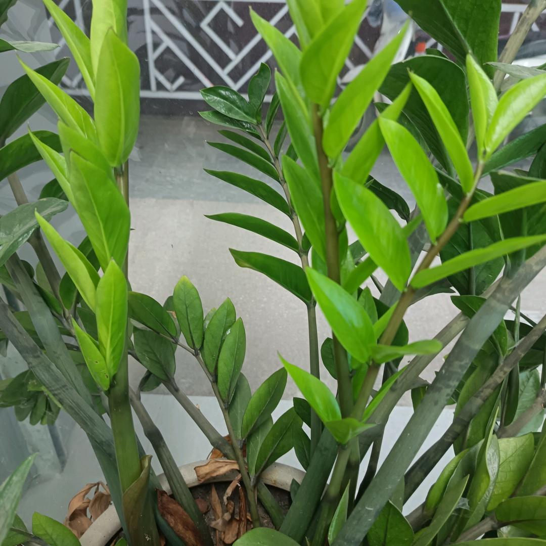我想静静