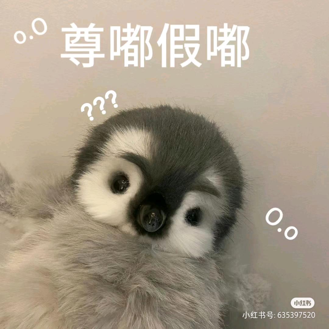 芹菜啊